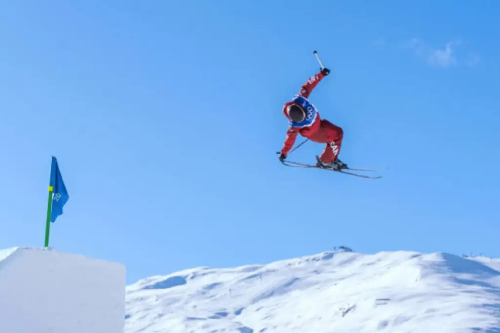 2026 winter olympics men's freestyle skiing big air results