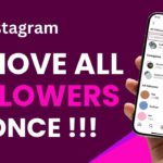 how to remove all followers from instagram