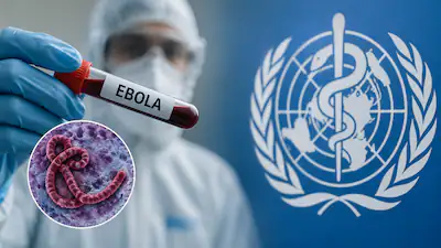 ebola